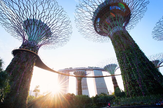 2-4 days in Singapore Guided Tour Pass - What the Singapore tour pass includes (and why it feels like a deal)