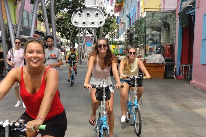 Lion City Bike Tour of Singapore - Price and value: what $68.69 actually buys you