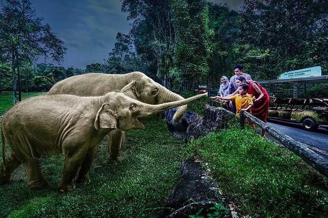 Night Safari Tickets with Tram Ride - Key highlights I’d prioritize