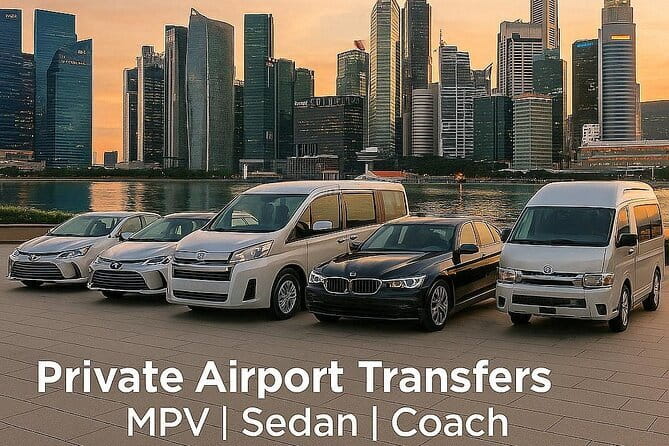 Private Singapore Arrival Transfer: Airport or Cruise Terminal to City - The 30-Minute Ride That Starts Your Singapore Day