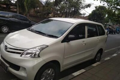 Singapore Changi SIN Airport Private Transfer to City Center - How pickup works at SIN: contact info, meeting point, and what to do on arrival