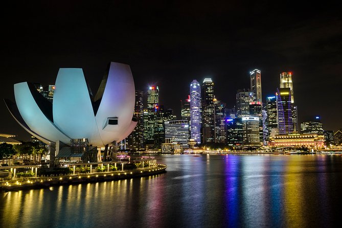 Singapore Photography Masterclass - Private Photography Lesson - Gardens by the Bay to Supertree Grove: night light without chaos