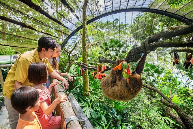 Singapore Zoo Entry Ticket - Key things that make this Singapore Zoo ticket worth your time