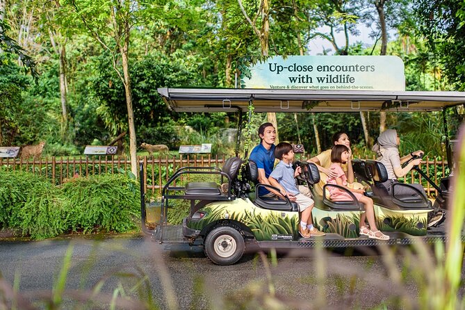 Singapore Zoo Entry Ticket - Jungle Breakfast with Wildlife and orangutan dining: what it is and how to treat it