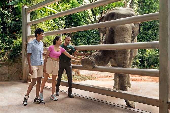 Singapore Zoo Entry Ticket - Your 2 to 4 hour plan: a half-day that doesn’t feel short