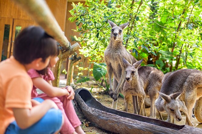 Singapore Zoo Entry Ticket - Getting there with MRT and bus: location is part of the value
