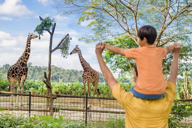 Singapore Zoo Entry Ticket - Walk-through biodome: the close-up experience to plan around